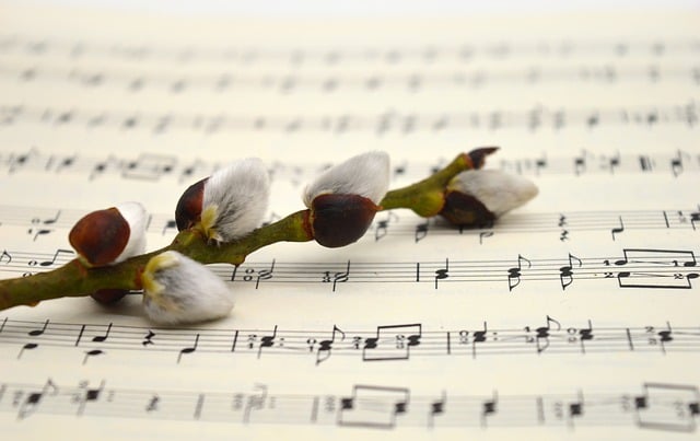 Free download willow catkin kitten branch easter free picture to be edited with GIMP free online image editor