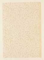 Free download Willow free photo or picture to be edited with GIMP online image editor