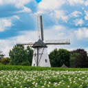 Windmill and flower field  screen for extension Chrome web store in OffiDocs Chromium