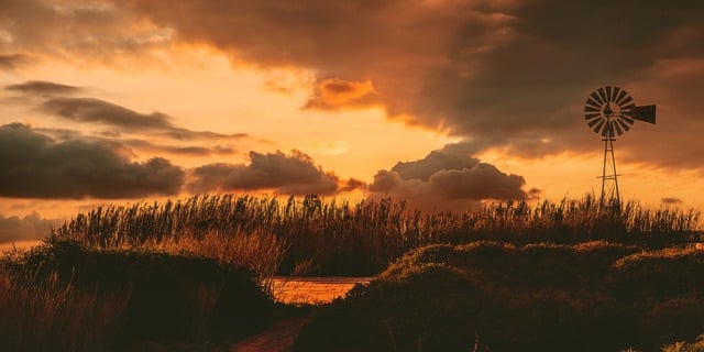 Free download windmill sunset reeds landscape free picture to be edited with GIMP free online image editor