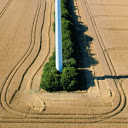 Windmills Wallpaper  screen for extension Chrome web store in OffiDocs Chromium