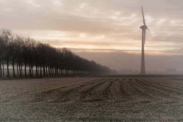 Free download wind mill trees fog frost sunlight free picture to be edited with GIMP free online image editor