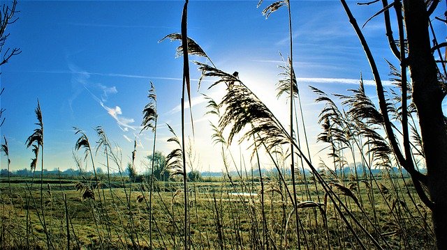 Free download Wind Morning Sunrise -  free photo or picture to be edited with GIMP online image editor
