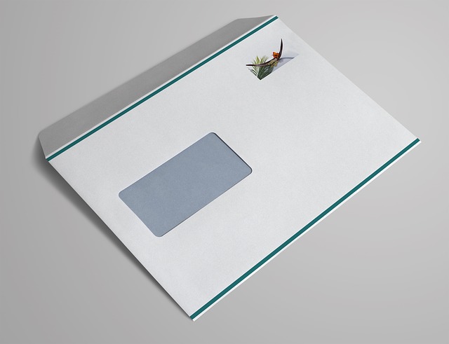 Free graphic window envelope c5 letter envelope to be edited by GIMP free image editor by OffiDocs