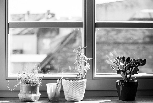 دانلود رایگان Window Flowerpot Flowers - عکس یا تصویر رایگان قابل ویرایش با ویرایشگر تصویر آنلاین GIMP