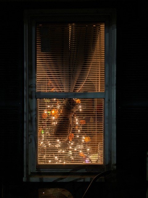 Template Photo Window Holiday Christmas -  for OffiDocs