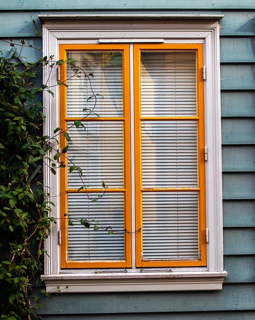 Скачать бесплатно Window House Plant - бесплатную фотографию или картинку для редактирования с помощью онлайн-редактора изображений GIMP