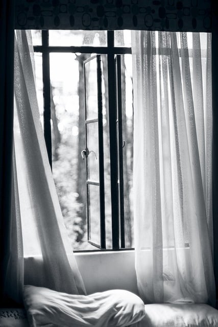 Free download window lace curtain black white free picture to be edited with GIMP free online image editor