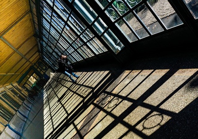Free download Window Light Photographer -  free photo or picture to be edited with GIMP online image editor