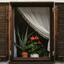 windows and flower pots  screen for extension Chrome web store in OffiDocs Chromium