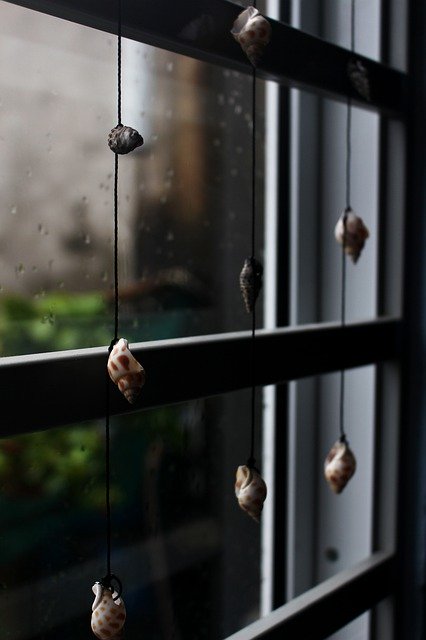 Free download Window Season Snail Blinds -  free photo or picture to be edited with GIMP online image editor