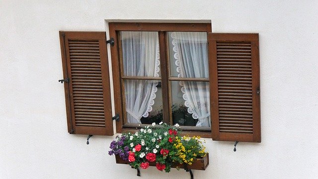 Free download Window Windows Flowers -  free photo or picture to be edited with GIMP online image editor