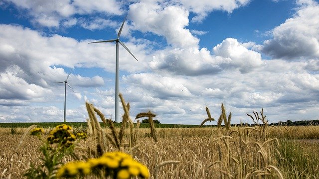 Descărcare gratuită Windräder Field Wind Power - fotografie sau imagini gratuite pentru a fi editate cu editorul de imagini online GIMP