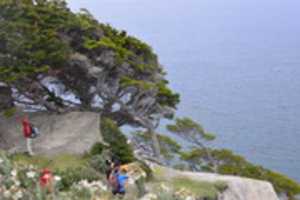 Free download Windswept cliffs on Gable Island free photo or picture to be edited with GIMP online image editor
