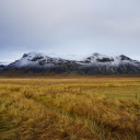 windy day field  screen for extension Chrome web store in OffiDocs Chromium
