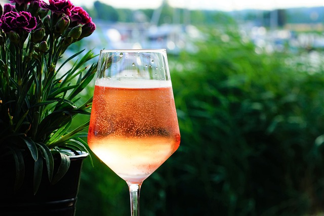 Free download wine spritzer glass drink free picture to be edited with GIMP free online image editor