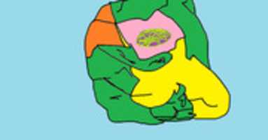 Free download wingsofdeath free photo or picture to be edited with GIMP online image editor