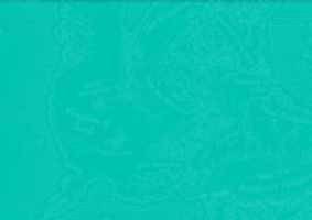 Free download wings-of-fire-scholastic-site backrounds free photo or picture to be edited with GIMP online image editor