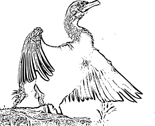 Kostenloser Download Flügel weit geöffnet - Kostenlose Vektorgrafik auf Pixabay kostenlose Illustration zur Bearbeitung mit GIMP kostenlose Online-Bildbearbeitung
