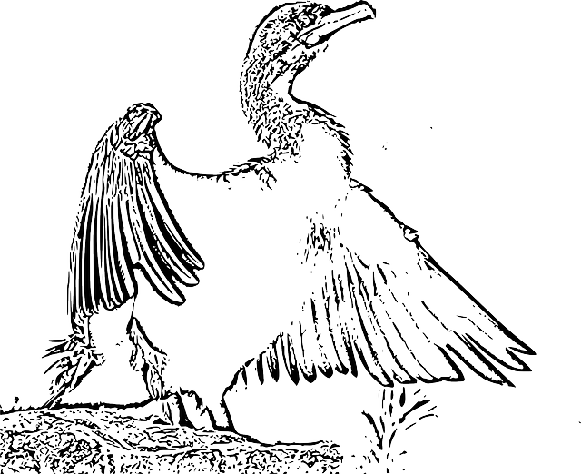 Free download Wings Open Wide - Free vector graphic on Pixabay free illustration to be edited with GIMP free online image editor