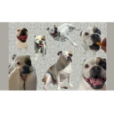 Winston the Frenchie  screen for extension Chrome web store in OffiDocs Chromium