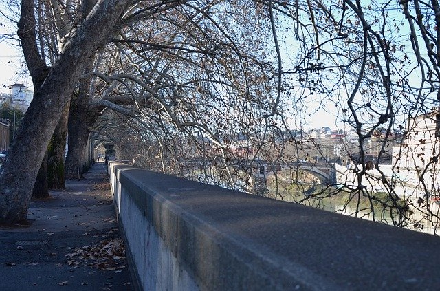 Descărcare gratuită Winter Autumn Avenue - fotografie sau imagini gratuite pentru a fi editate cu editorul de imagini online GIMP