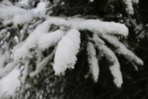 Free download Winter Backgrounds free photo or picture to be edited with GIMP online image editor