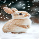 Winter bunny wallpaper  screen for extension Chrome web store in OffiDocs Chromium