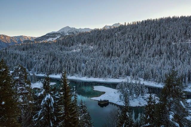 Téléchargement gratuit d'une image gratuite d'arbres forestiers d'hiver du Caumasee à modifier avec l'éditeur d'images en ligne gratuit GIMP