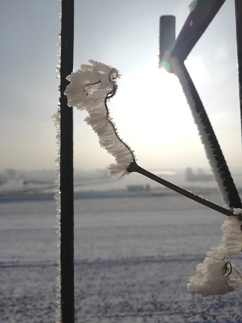 Free download Winter Cold Freezers -  free photo or picture to be edited with GIMP online image editor