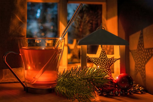 Free download winter cold tea hot drink fir tree free picture to be edited with GIMP free online image editor
