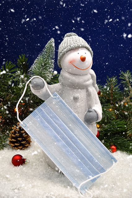 Free download winter corona winter free picture to be edited with GIMP free online image editor