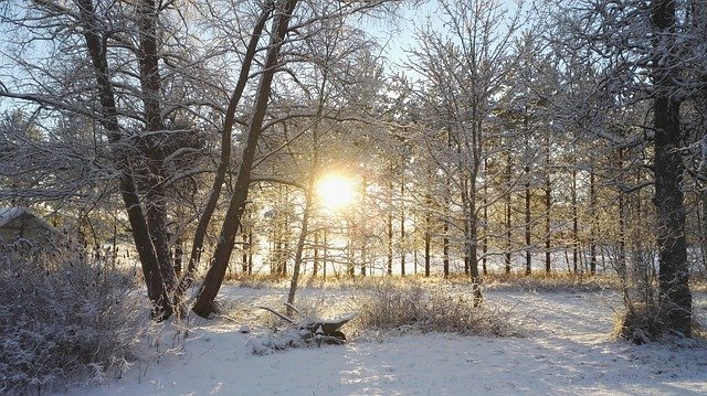 Скачать бесплатно Winter Finnish Sun - бесплатное фото или изображение для редактирования с помощью онлайн-редактора изображений GIMP