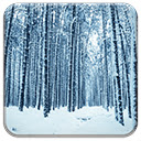 Winter Forest  screen for extension Chrome web store in OffiDocs Chromium