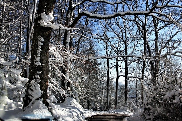 Download gratuito Winter Forest Path Snowy - foto o immagine gratuita gratuita da modificare con l'editor di immagini online GIMP