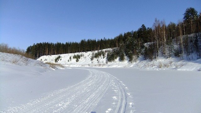 Ücretsiz indir Winter Forest Trails A Sağlıklı - GIMP çevrimiçi resim düzenleyici ile düzenlenecek ücretsiz fotoğraf veya resim