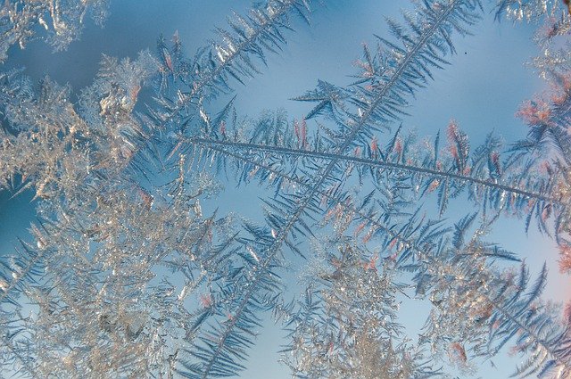 Free graphic winter frost nature texture macro to be edited by GIMP free image editor by OffiDocs