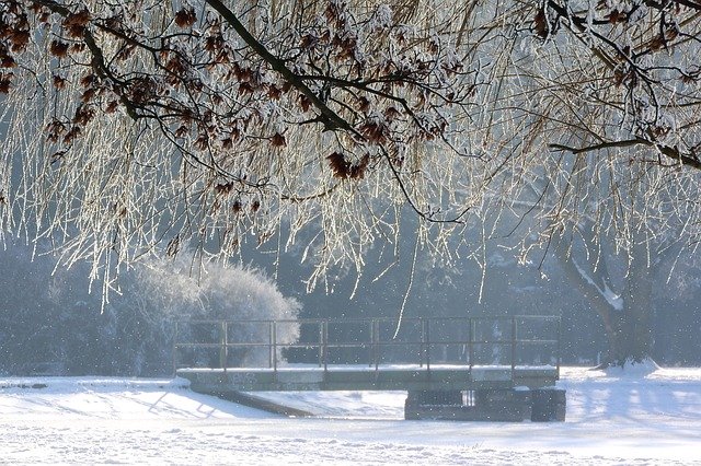 Free download Winter Frost Park In free photo template to be edited with GIMP online image editor