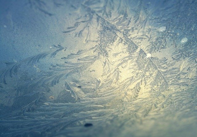 Gratis download Winter Frost Rainy-D - gratis foto of afbeelding om te bewerken met GIMP online afbeeldingseditor