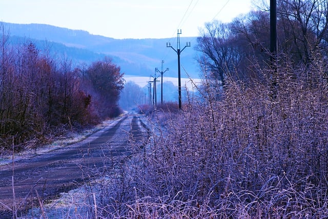 Free download winter frost the snow cold free picture to be edited with GIMP free online image editor