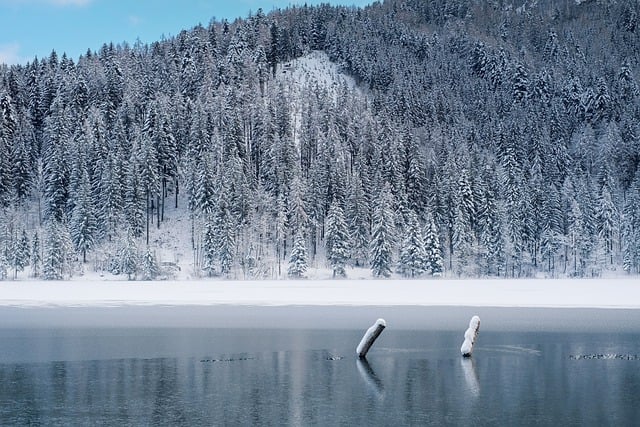 Free download winter frozen lake forest lake free picture to be edited with GIMP free online image editor