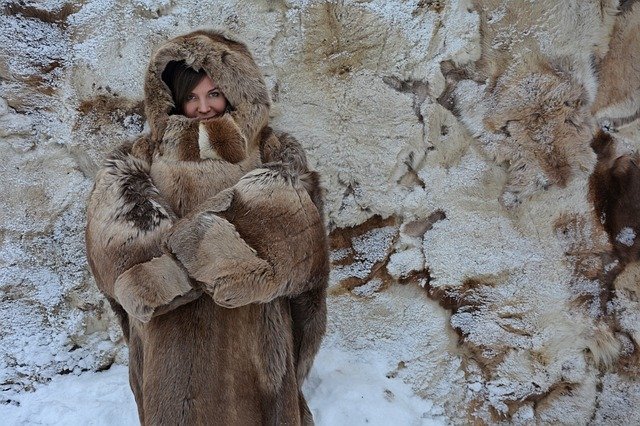 Kostenloser Download Winter Pelzmantel kalt - kostenloses Foto oder Bild zur Bearbeitung mit GIMP Online-Bildbearbeitung