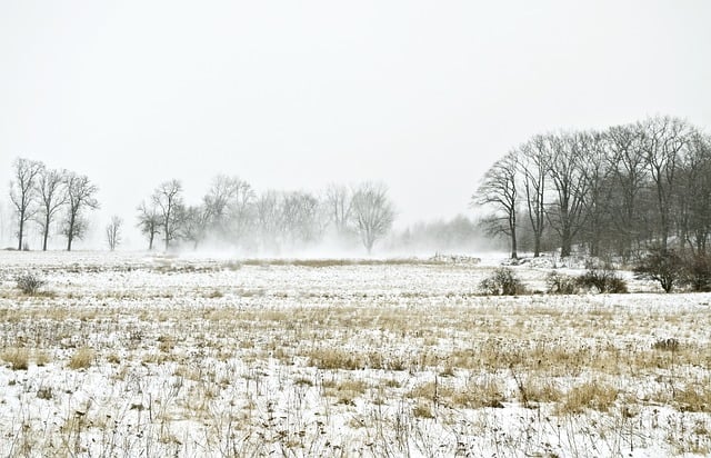 Descargue gratis la imagen gratuita del campo frío de la nieve del viento del vendaval de invierno para editar con el editor de imágenes en línea gratuito GIMP
