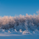 winter grass  screen for extension Chrome web store in OffiDocs Chromium