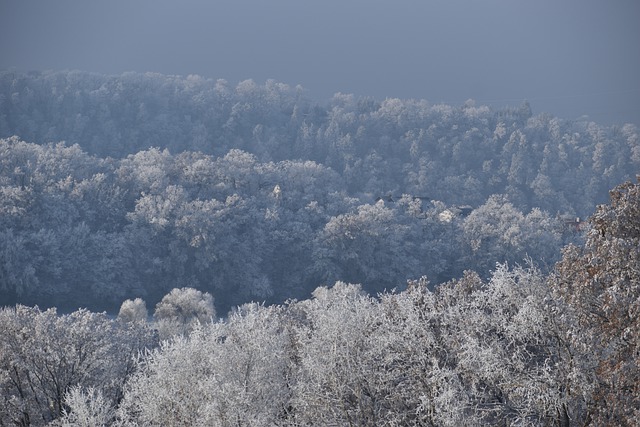 Free download winter hoarfrost ice crystals frost free picture to be edited with GIMP free online image editor