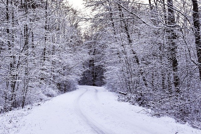 Free download Winter Hoarfrost Snow free photo template to be edited with GIMP online image editor