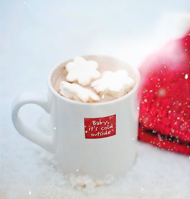 Free download winter hot chocolate hot coco warm free picture to be edited with GIMP free online image editor