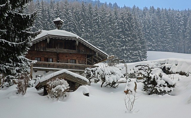 Unduh gratis Winter House Trees - foto atau gambar gratis untuk diedit dengan editor gambar online GIMP
