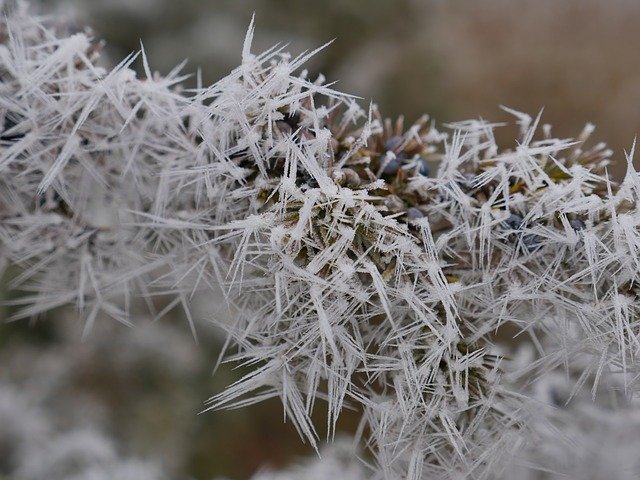 免费下载 Winter Ice Eiskristalle - 可使用 GIMP 在线图像编辑器编辑的免费照片或图片