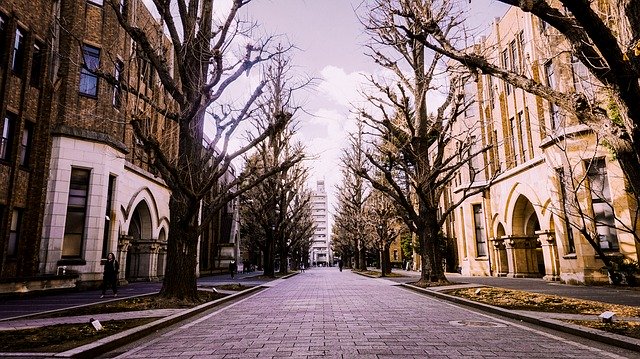 Muat turun percuma Winter Japan University Of Tokyo - foto atau gambar percuma untuk diedit dengan editor imej dalam talian GIMP